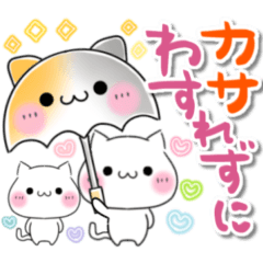 [LINEスタンプ] ねこ♡夏 梅雨 日常