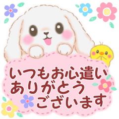[LINEスタンプ] Babyうさぎさん「長文」