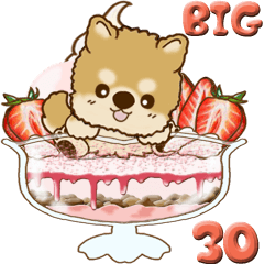 [LINEスタンプ] 【Big】ちゃちゃ丸 30 『Sweets 2』