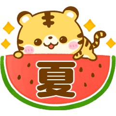 [LINEスタンプ] 夏♡とらさん