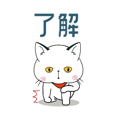 [LINEスタンプ] 【動く】ぽけ猫☆毎日使える•夏編