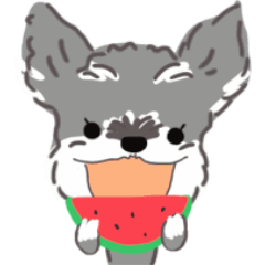 [LINEスタンプ] 動くシュナこむぎ