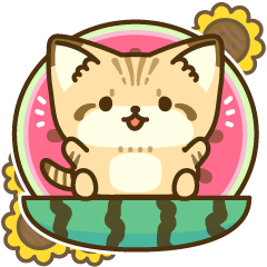 [LINEスタンプ] 飛び出す！スナネコのスタンプ