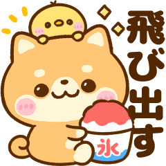 [LINEスタンプ] 飛び出す♡夏の豆柴日和