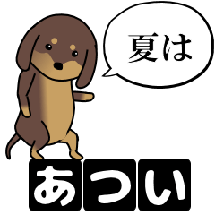 [LINEスタンプ] 激しく尻尾をふるイヌ クラッシュ篇