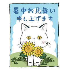 [LINEスタンプ] 【とびだす】ぽけ猫☆毎日使える•夏編