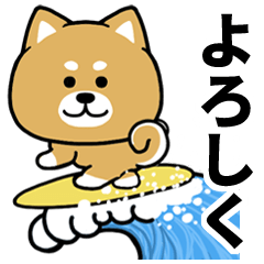 [LINEスタンプ] 毎日使える夏・柴犬