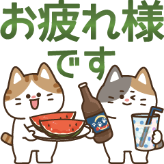 [LINEスタンプ] とびだす！ゆるかわにゃんこズ(夏)