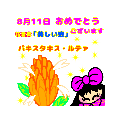 [LINEスタンプ] 誕生日・8月・花言葉 bunbun