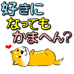 [LINEスタンプ] 激しく尻尾をふる柴犬 カラフル関西弁