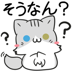 [LINEスタンプ] 新潟弁のねこ ノルウェージャン