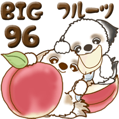 [LINEスタンプ] 【Big】シーズー犬 96『フルーツetc.』