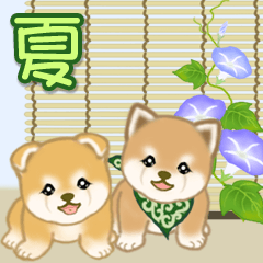 [LINEスタンプ] よちよち豆柴兄弟の夏