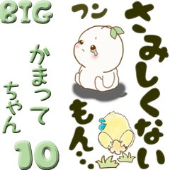 [LINEスタンプ] 【Big】植物の妖精『さみしがり』10