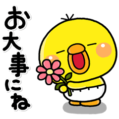 [LINEスタンプ] ず～っと使える♡やさしいぴっぴのスタンプ