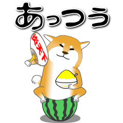 [LINEスタンプ] 激しく尻尾をふるイヌⅡ【柴犬】