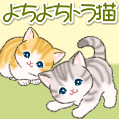 [LINEスタンプ] よちよちトラ猫 可愛い毎日