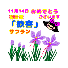 [LINEスタンプ] 誕生日・11月・花言葉bunbun