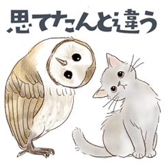 [LINEスタンプ] ゆかいな猫と動物たちのスタンプwith関西