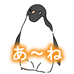 [LINEスタンプ] 福岡（博多弁）雑ゆるなペンギン