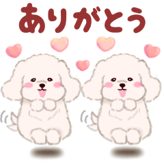 [LINEスタンプ] ふたごの白トイプードル