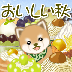 [LINEスタンプ] よちよち豆柴 おいしい秋