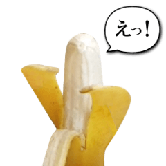 [LINEスタンプ] このバナナ動くぞ【実写版】NEW