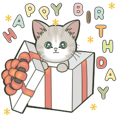 [LINEスタンプ] 【とびだす】仔猫のぽんにゃん☆おめでとう