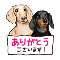 [LINEスタンプ] ワンコのほんわかにがおえスタンプ