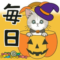 [LINEスタンプ] 【とびだす】仔猫のぽんにゃん☆毎日使える