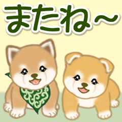 [LINEスタンプ] よちよち豆柴兄弟 大きなお返事