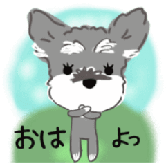 [LINEスタンプ] 動くふんわりかわいいシュナこむぎ